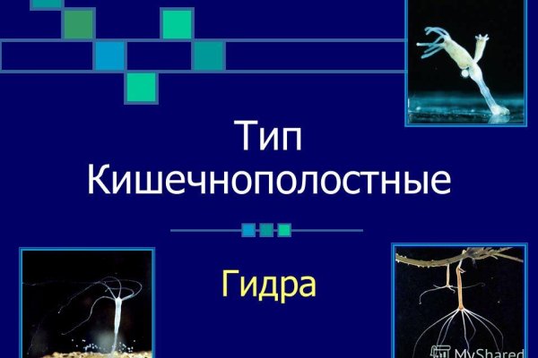 Рабочая ссылка на кракен в торе