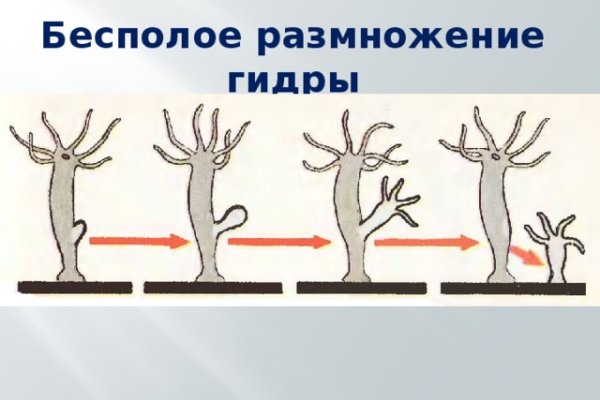 Купить героин в москве