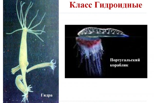 Войти в кракен